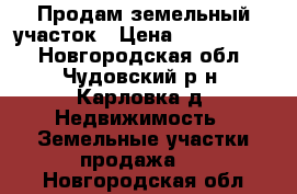 Продам земельный участок › Цена ­ 1 000 000 - Новгородская обл., Чудовский р-н, Карловка д. Недвижимость » Земельные участки продажа   . Новгородская обл.